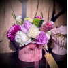 Pink Pasion